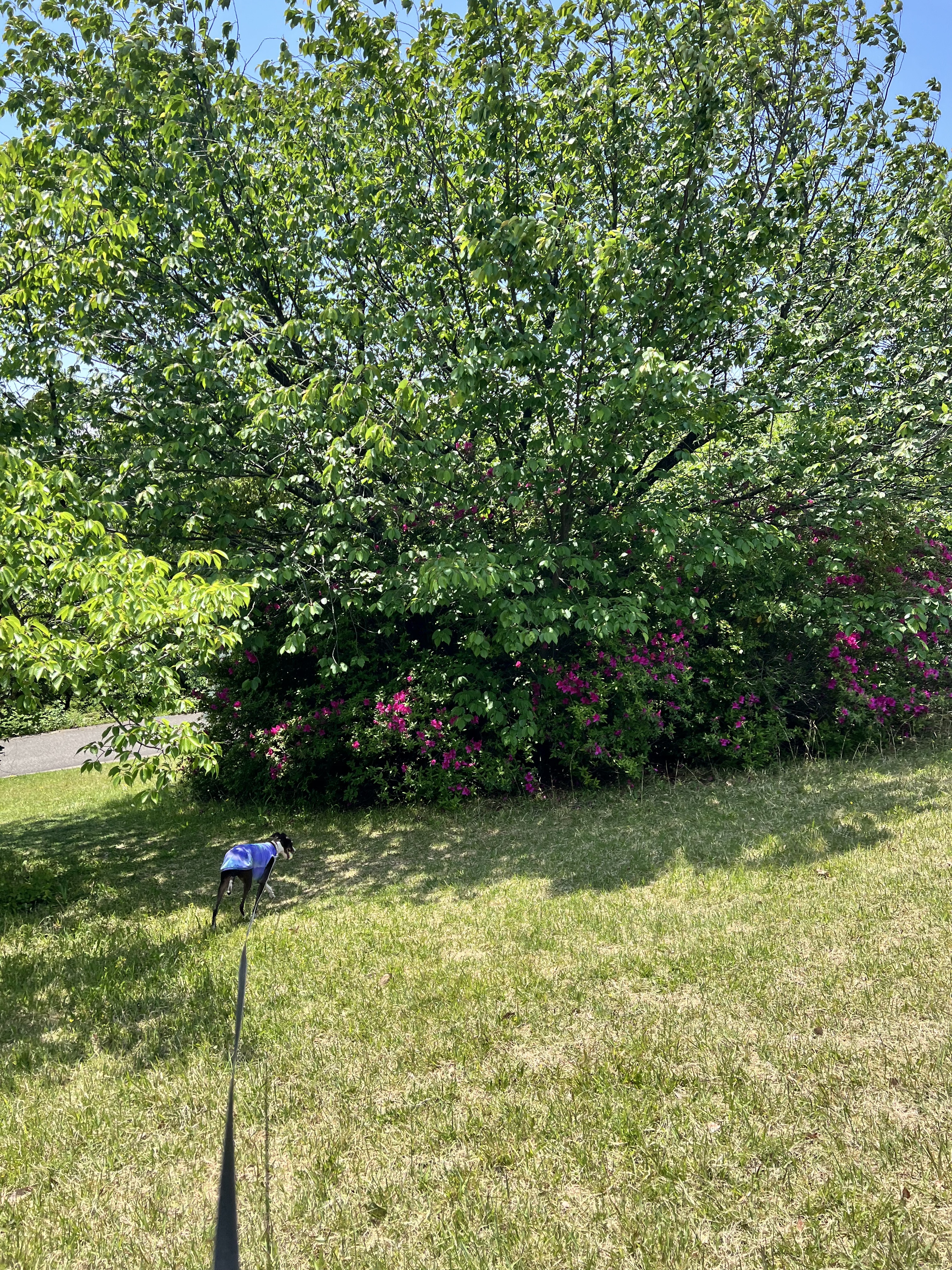 IMG_5403.jpeg