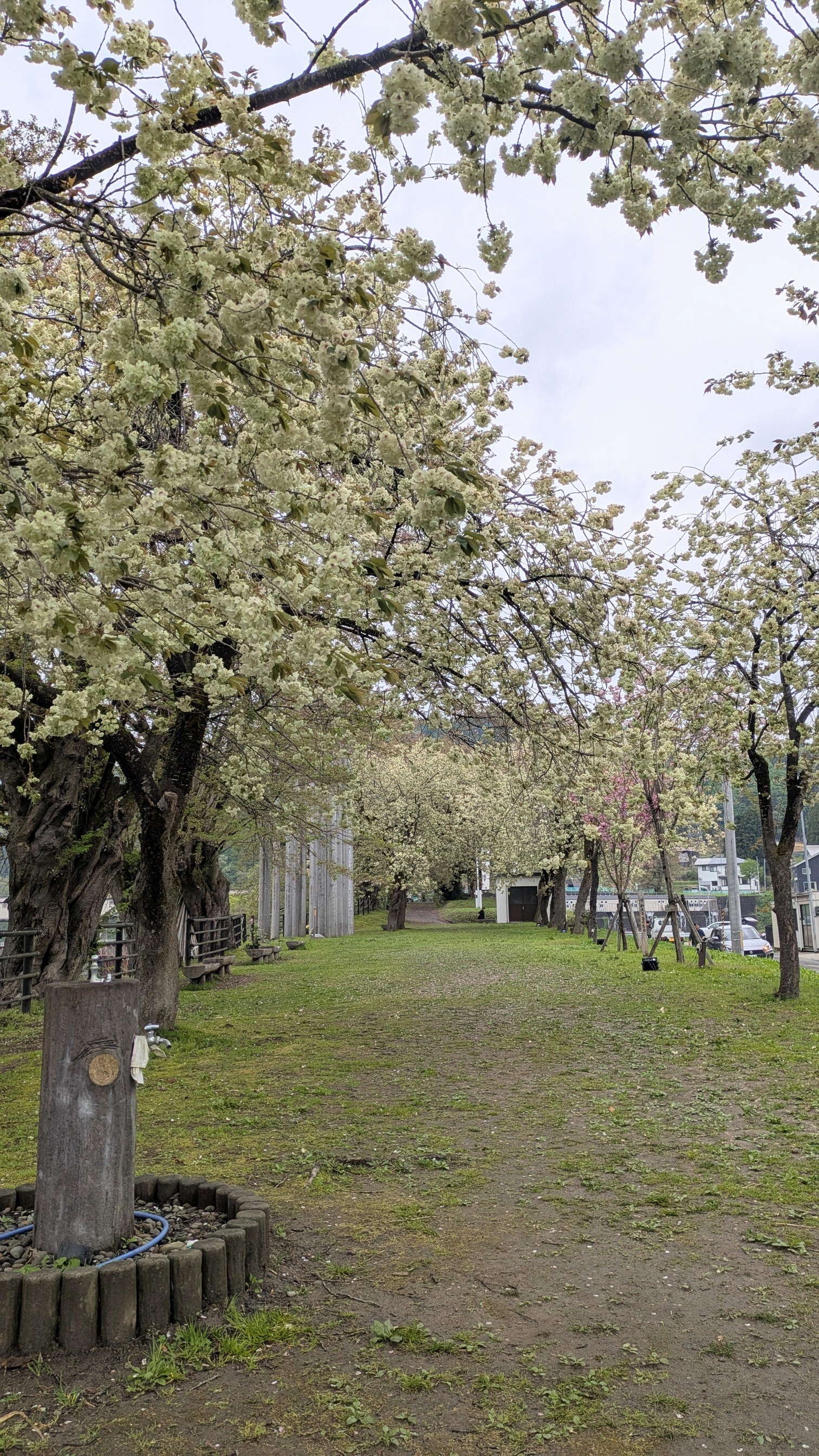 PXL_20250504_061409245.jpg