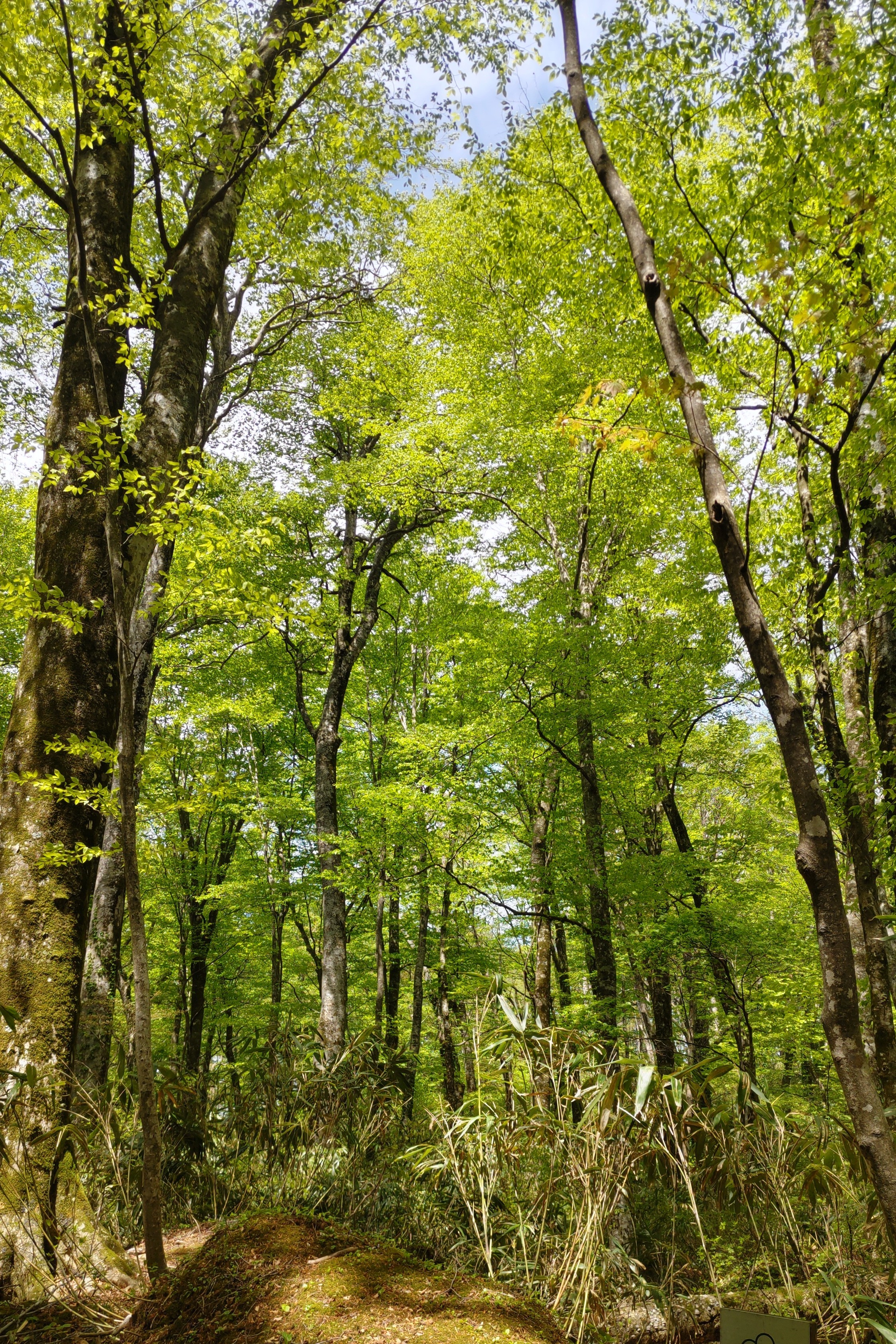 DSC_1219.JPG