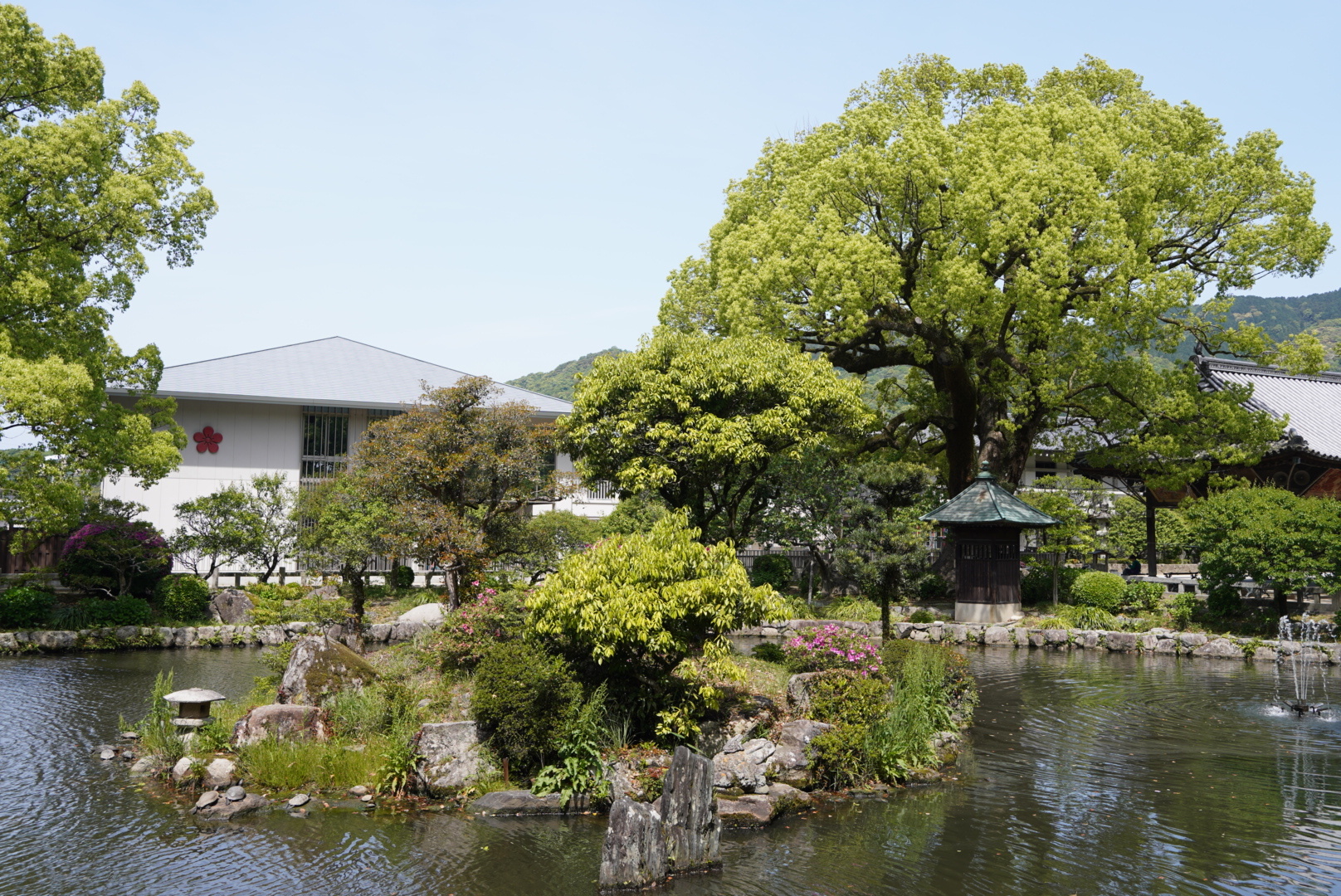 DSC07038.JPG