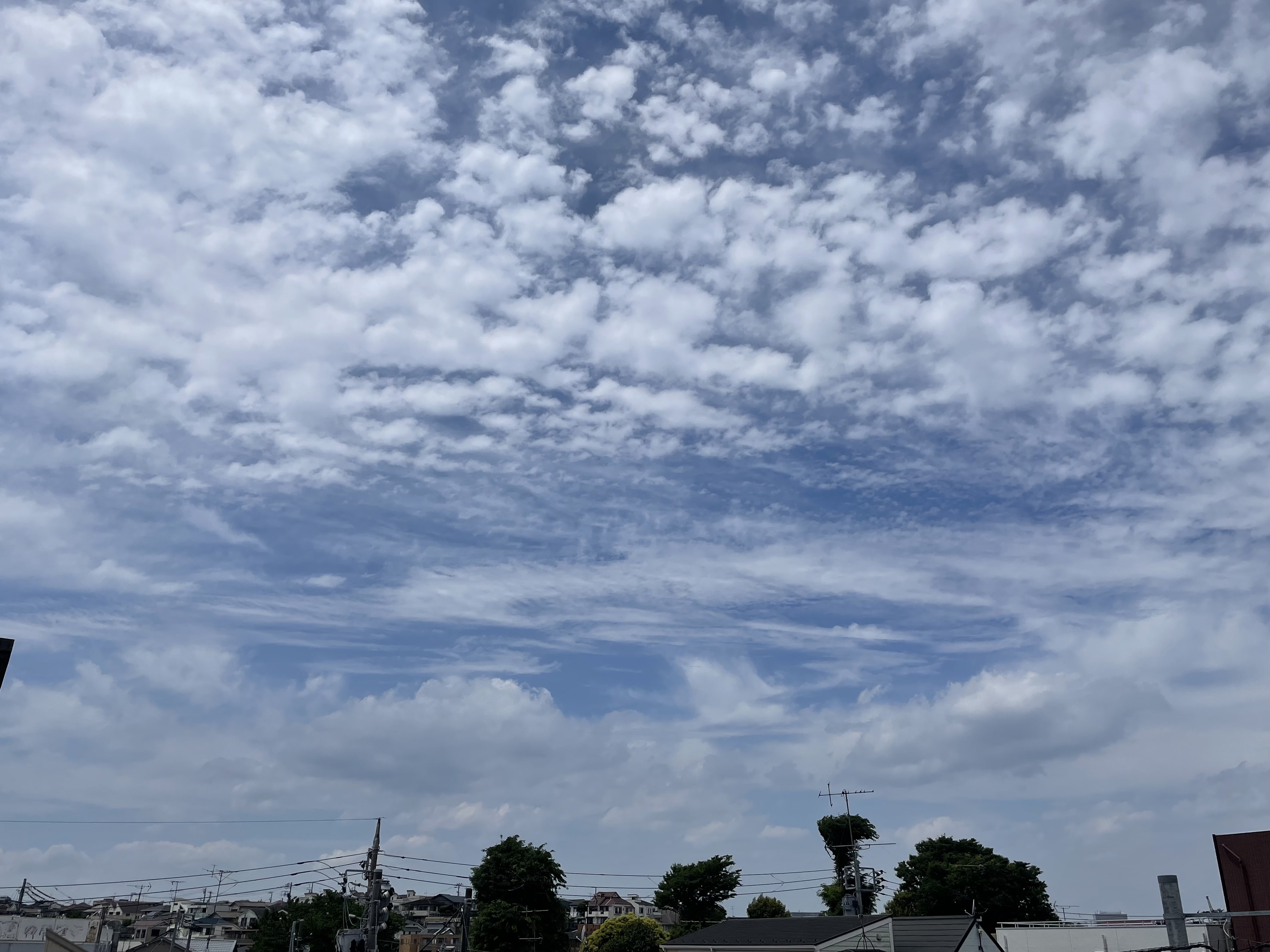 C00B3F4B-102A-44E9-BC85-B81DB1FF3EC8.jpeg