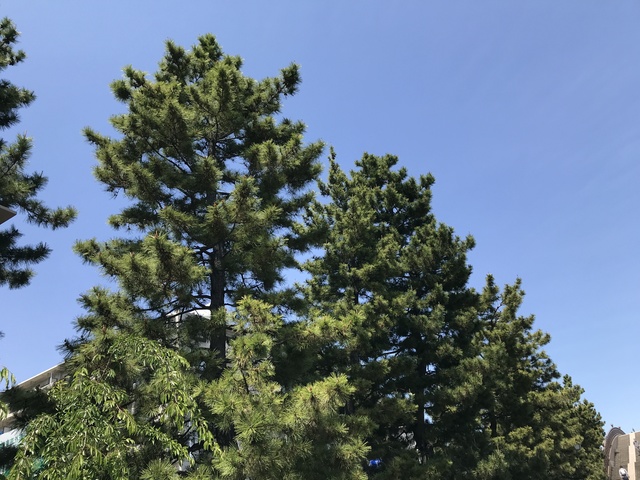 33272E49-D0DB-4F95-8582-2B5569D74443.jpeg