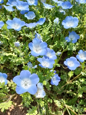 IMG20250505093756.jpg