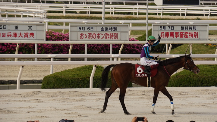 DSC05855.JPG