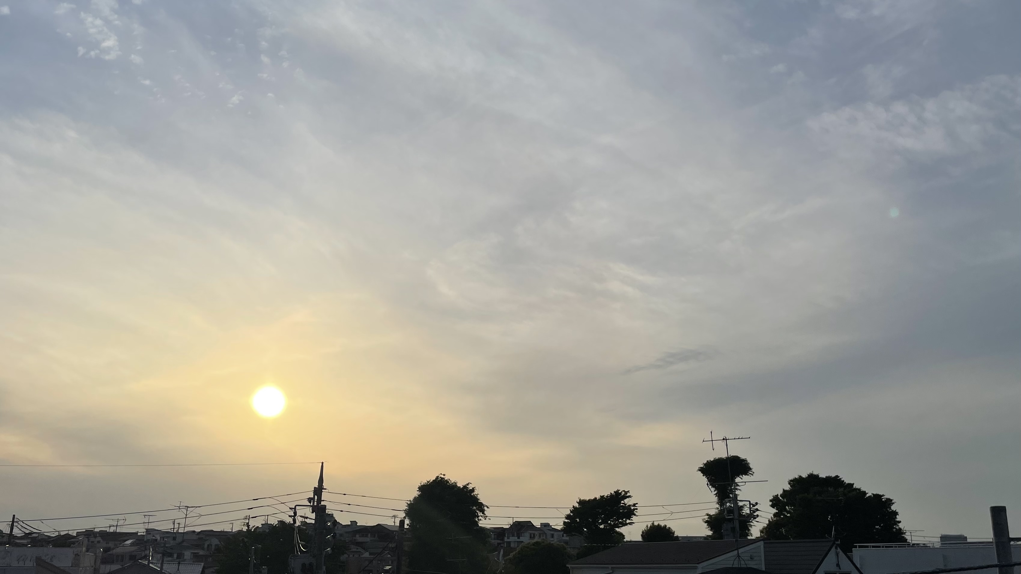 1D19F167-A31D-481C-874F-B23481F8DA62.jpeg