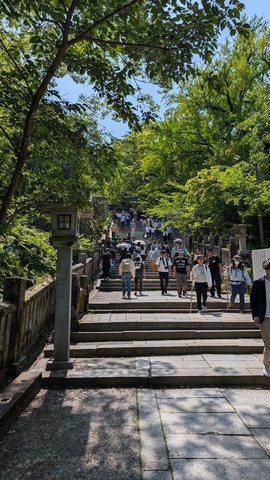 PXL_20250504_051454097.jpg