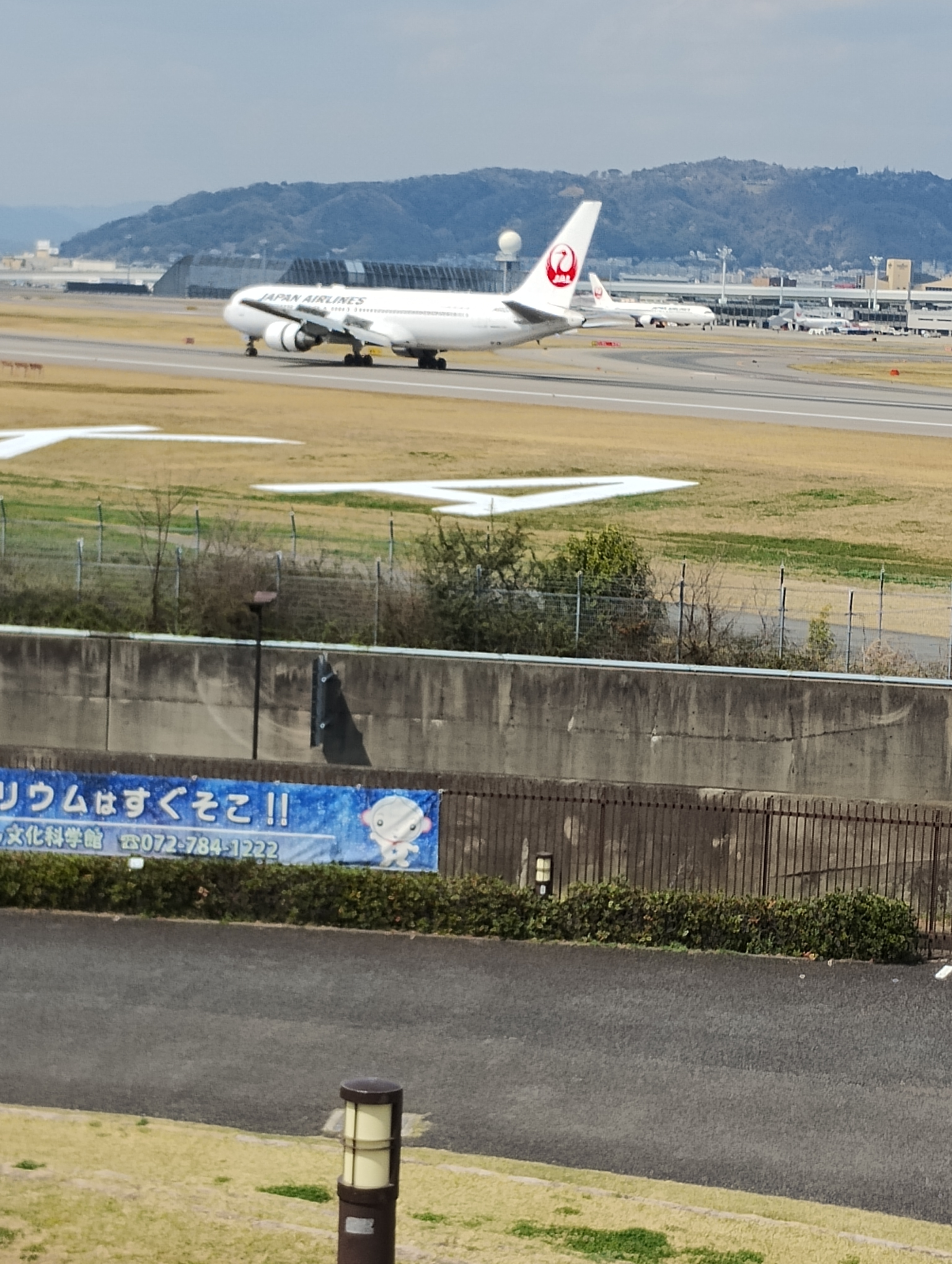 IMG_20250407_133509553.jpg