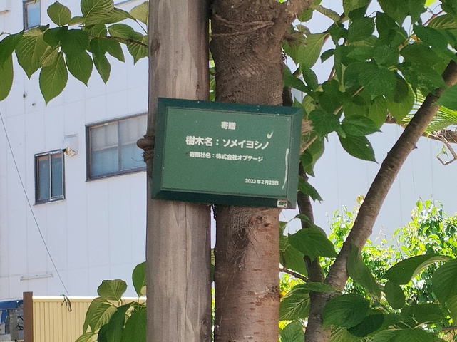 IMG20250504125630_-_コピー.jpg