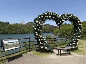 IMG_8775.jpeg