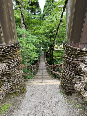 IMG_3500_Original.jpeg