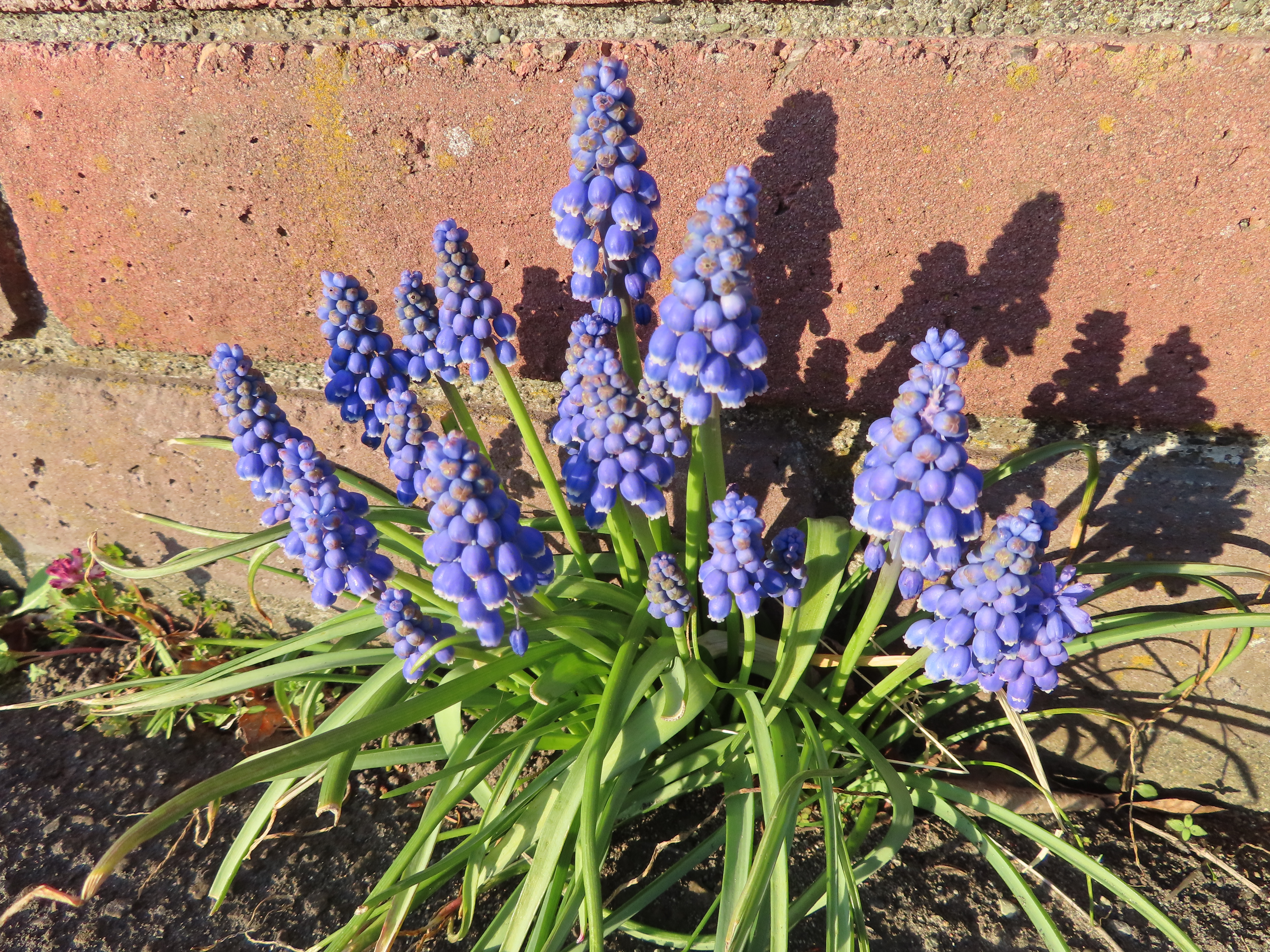 IMG_2641.jpeg