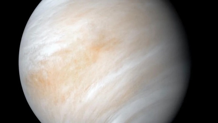 venus.jpg