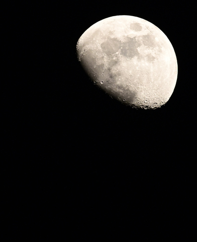 Z51_9289_1.JPG