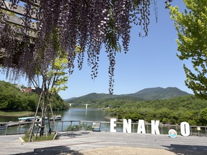 IMG_8661.jpeg