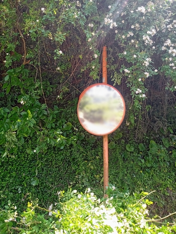Point_Blur_20250508_150404.jpg