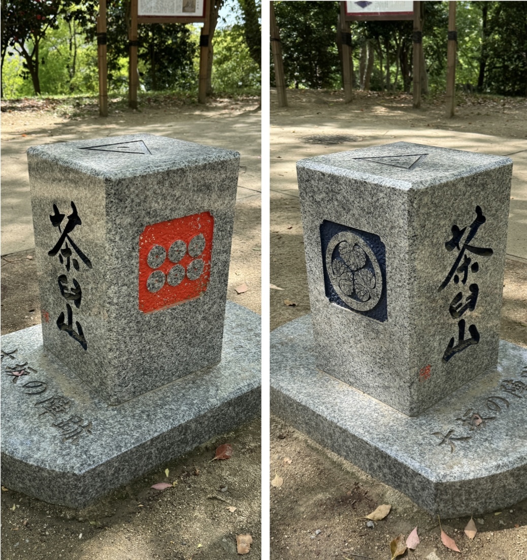 IMG_1119.jpeg