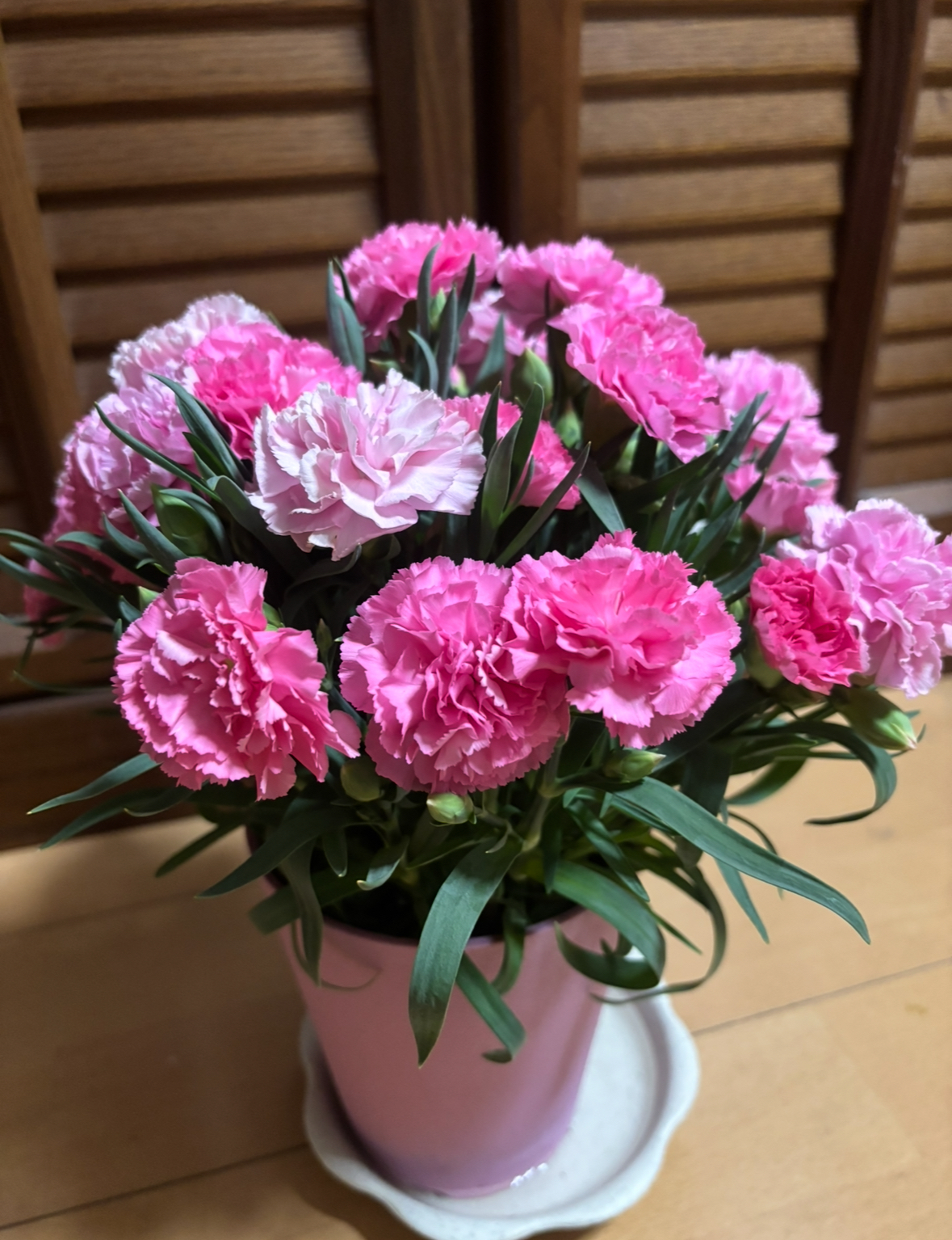 IMG_5721.jpeg