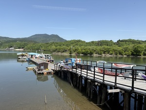 IMG_8670.jpeg
