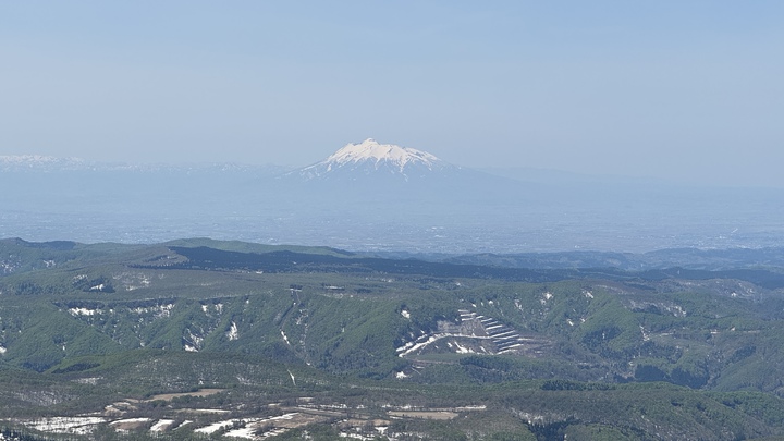 IMG_8380.jpeg