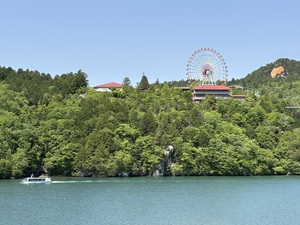IMG_8782.jpeg