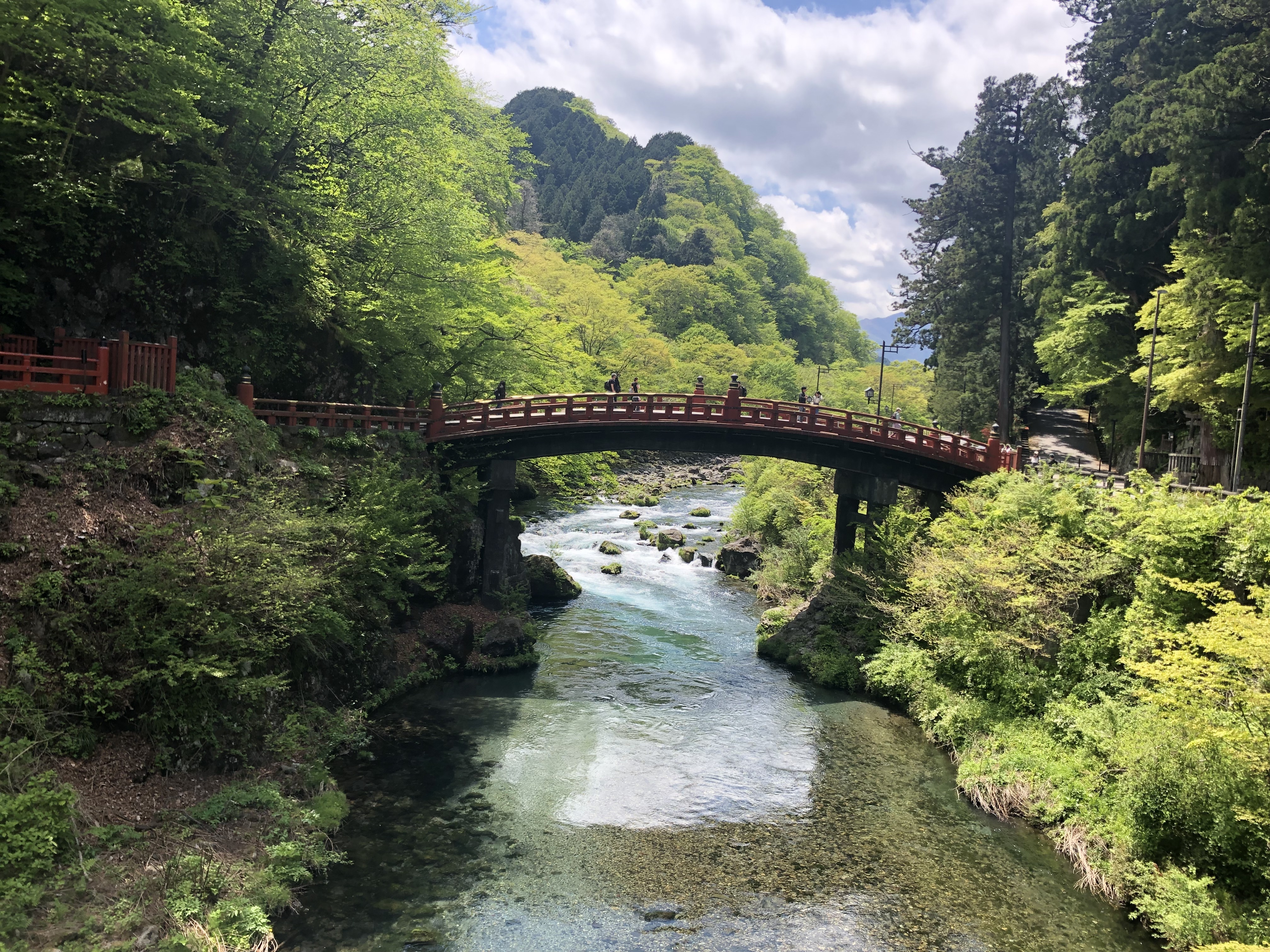 IMG_1992.jpeg
