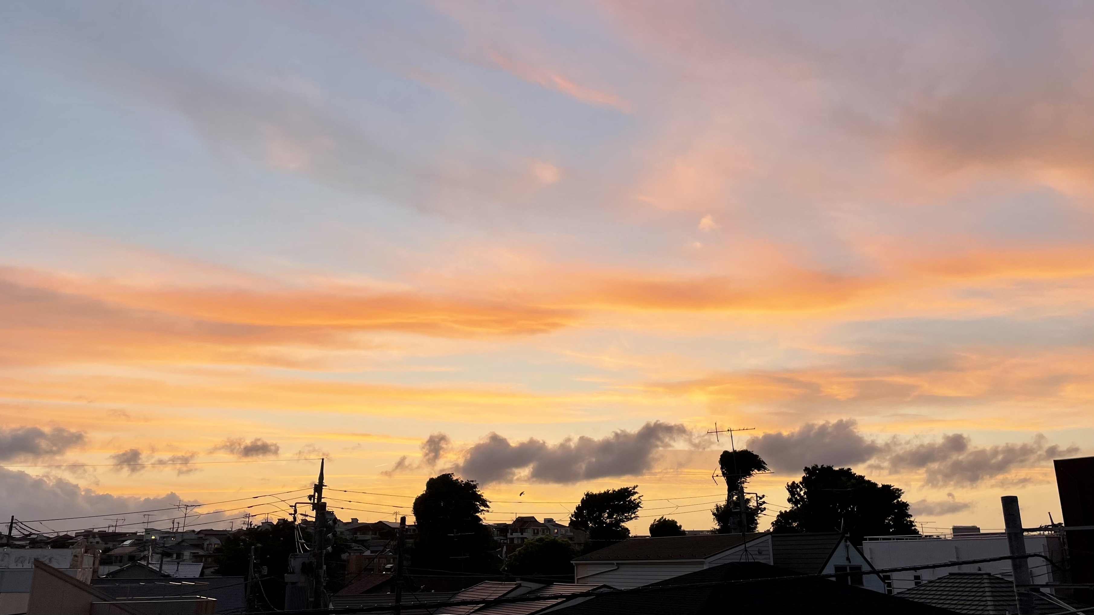 E2CC2B78-C24E-4F05-B063-7E698C251E06.jpeg