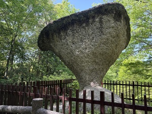 IMG_8644.jpeg