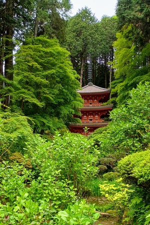 IMG_20250511_133137124_HDR.jpg