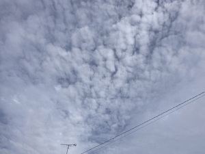 IMG_1718.jpeg