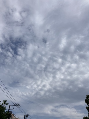 IMG_1719.jpeg