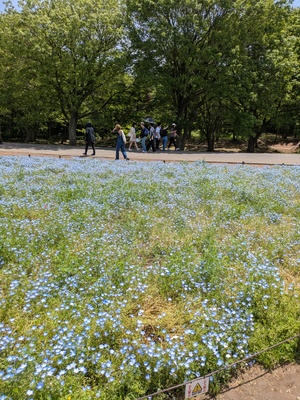 PXL_20250511_031837227.jpg