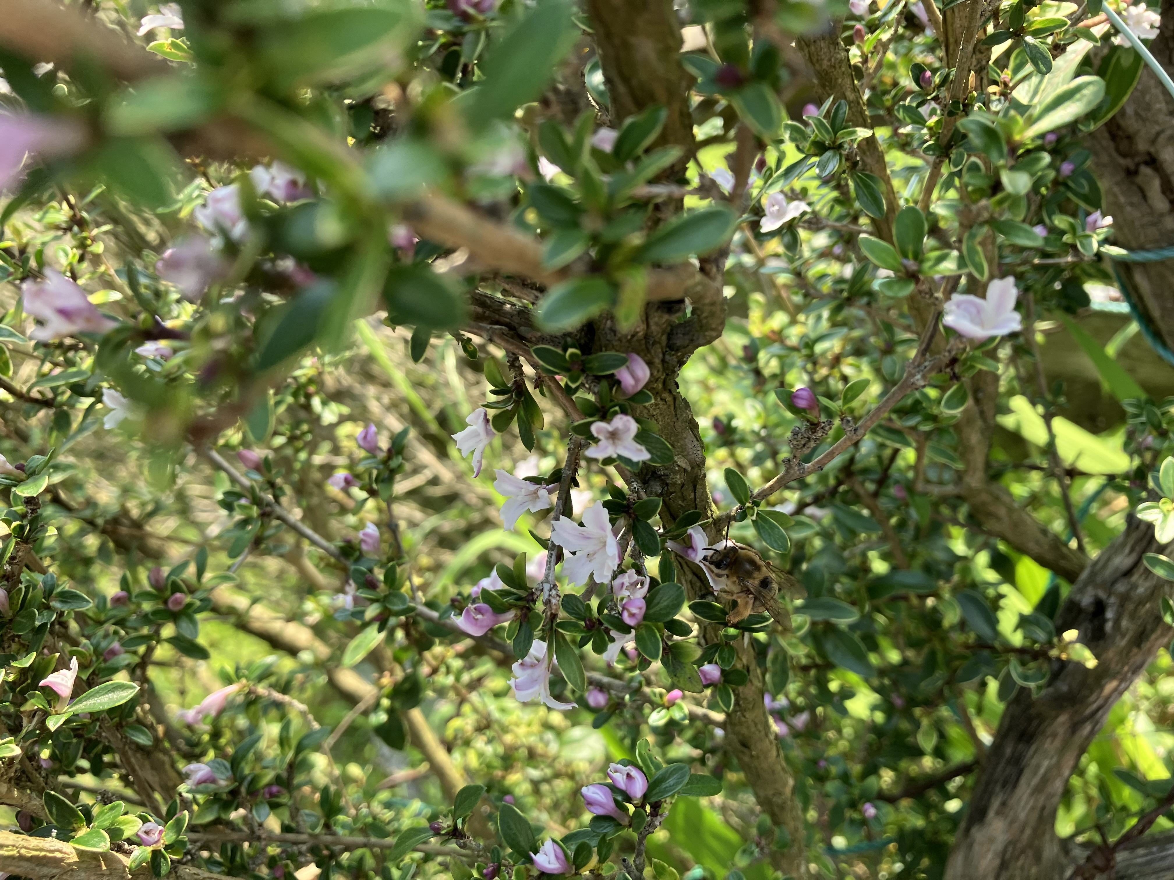 IMG_1654.jpeg