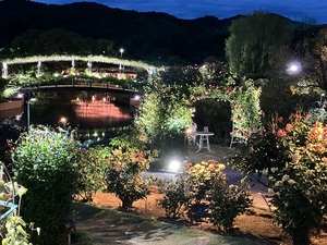 IMG_0278.jpeg