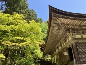 IMG_1954.jpeg