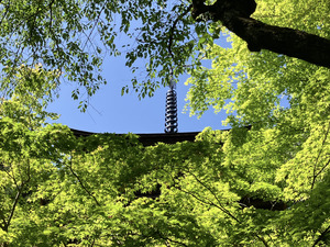 IMG_7953.png