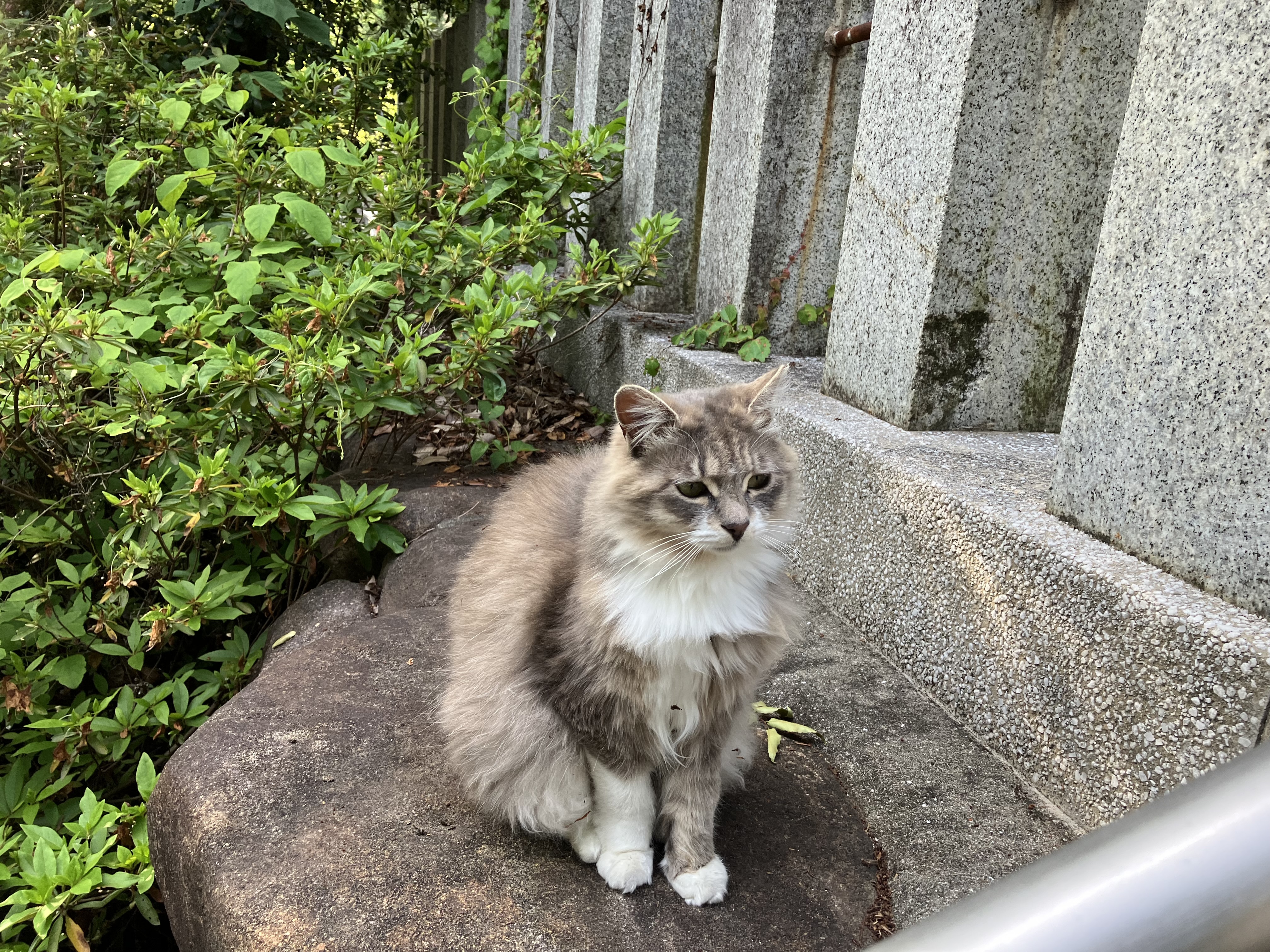 IMG_1689.jpeg