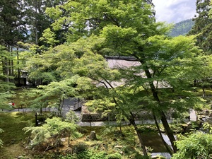 IMG_2087.jpeg