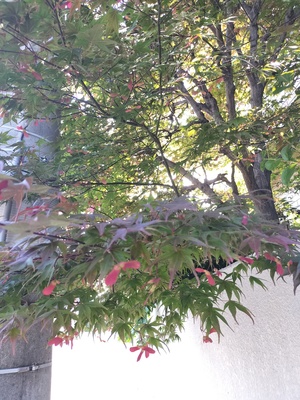 IMG20250514170807.jpg