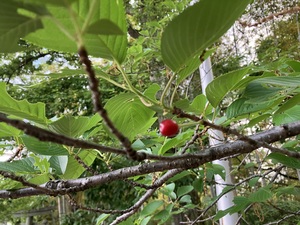 IMG_1848.jpeg