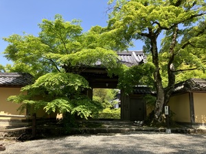 IMG_1917.jpeg