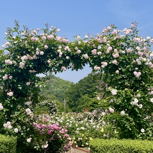 IMG_0609.jpeg
