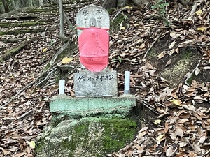 IMG_2018.jpeg