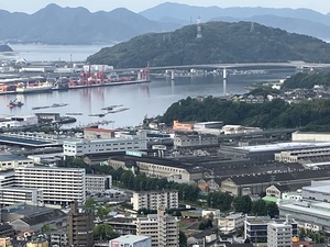 IMG_1868.jpeg