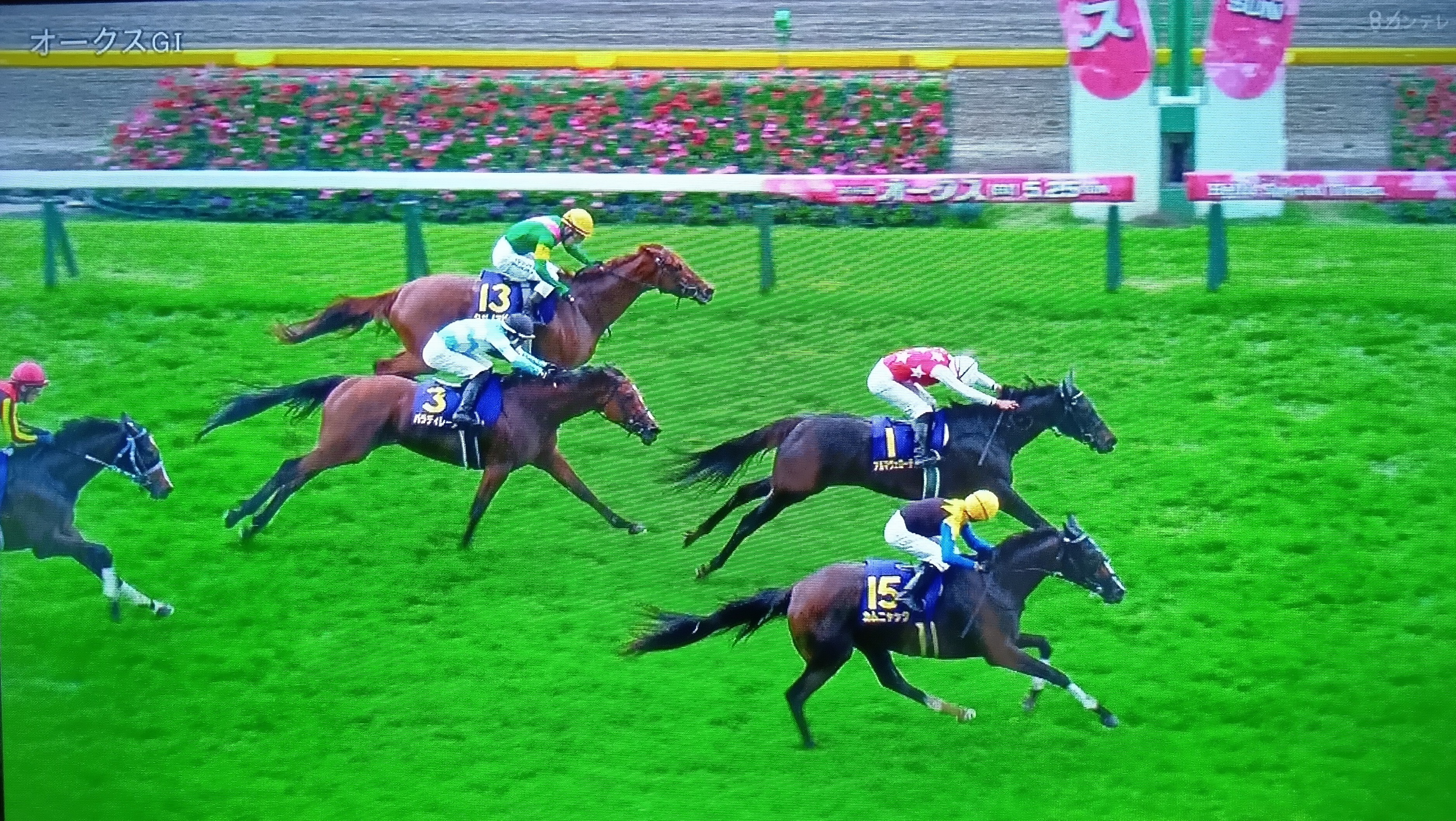 🐴トライアル勝ち馬が🌸桜花賞出走馬を💥なで斬りに‼️【第86回