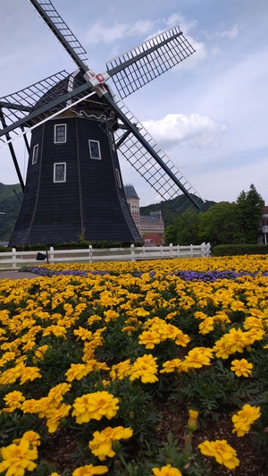 DSC_0965.JPG