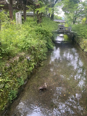 IMG_3913.jpeg