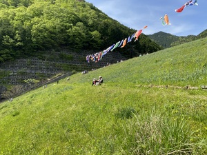 IMG_3764.jpeg