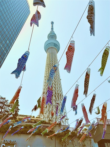 IMG_3018.jpeg