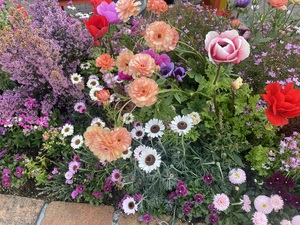 IMG_0433.jpeg