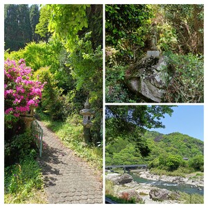20250529_155801-COLLAGE.jpg
